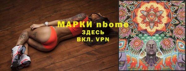 дурь Богданович
