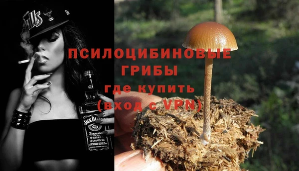 дурь Богданович