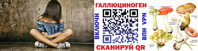 Псилоцибиновые грибы Psilocybe  Белоусово 